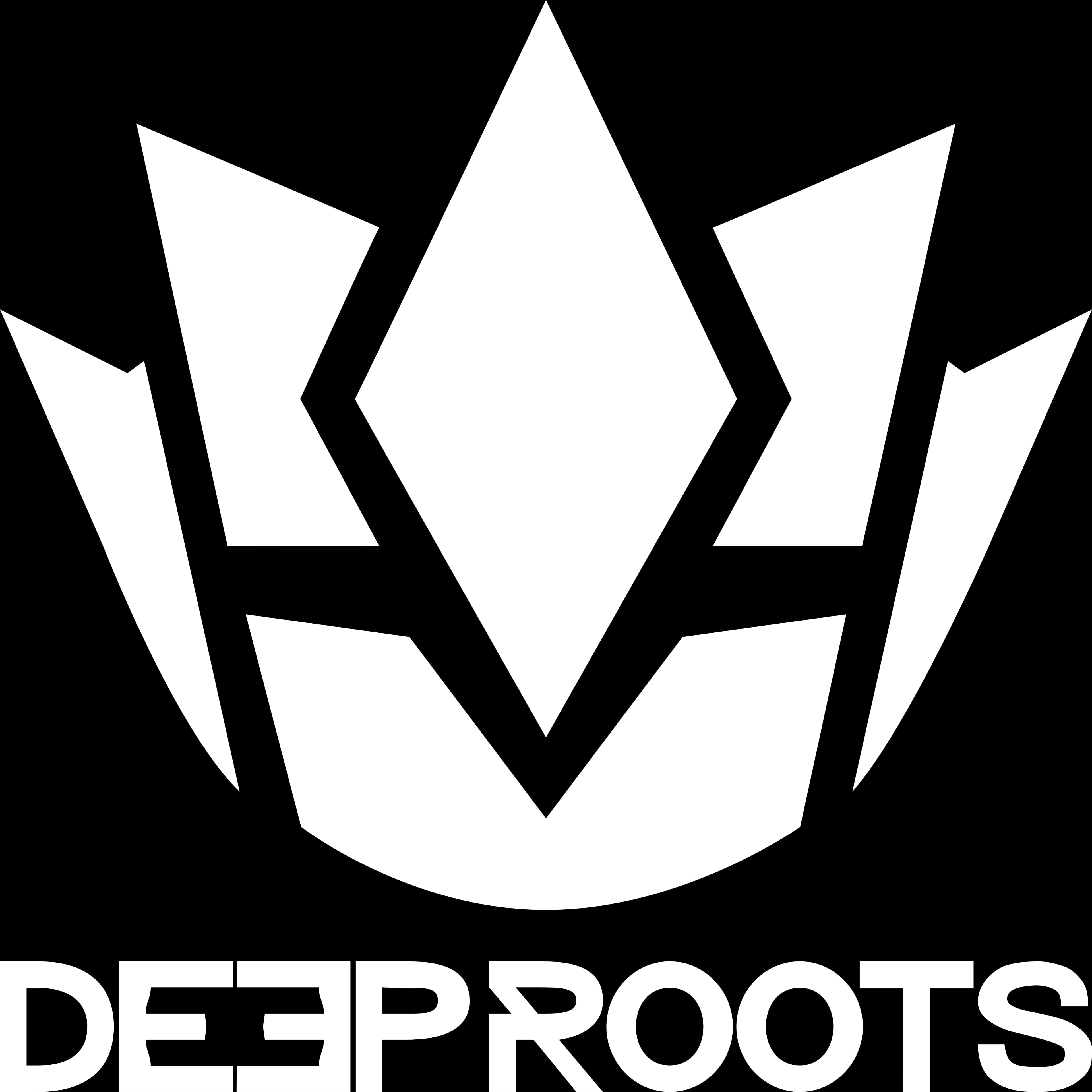 Deep Roots Music Festival